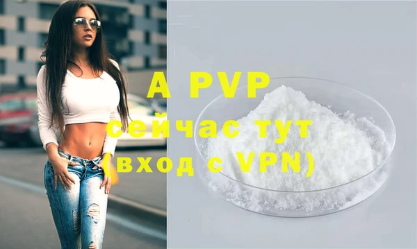 прущие грибы Арсеньев
