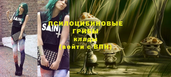 синтетический гашиш Алексин
