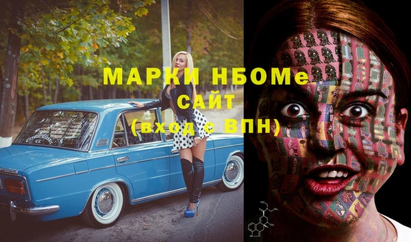 прущие грибы Арсеньев