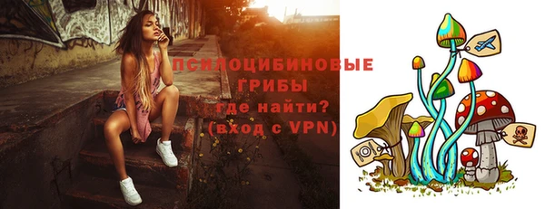 прущие грибы Арсеньев