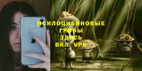 синтетический гашиш Алексин