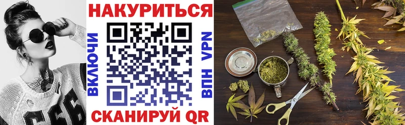 где купить наркоту  Райчихинск  Бошки марихуана план 